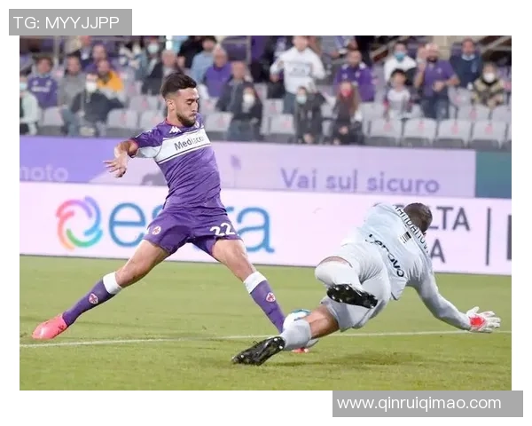 罗森博格与维京的精彩对决分析及比赛前瞻 罗森博格与维京的精彩对决分析及比赛前瞻