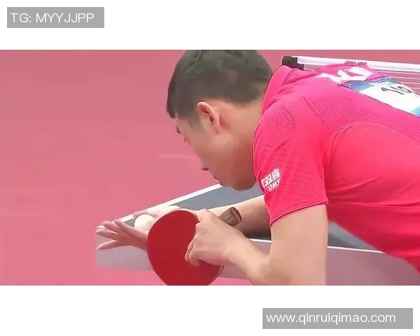 许昕与丁祥恩激战乒乓球赛场谁能笑到最后精彩对决引人瞩目